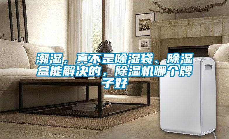 潮濕，真不是除濕袋、除濕盒能解決的，除濕機哪個牌子好