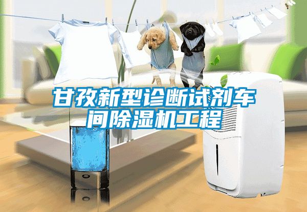 甘孜新型診斷試劑車間除濕機(jī)工程