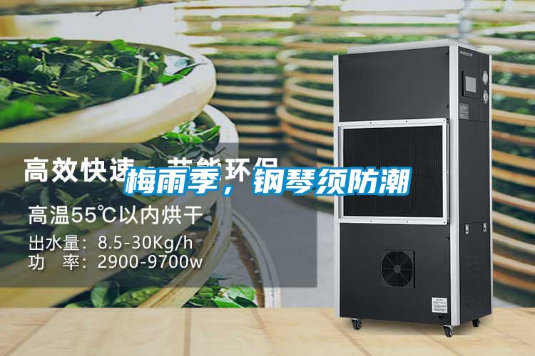 梅雨季，鋼琴須防潮