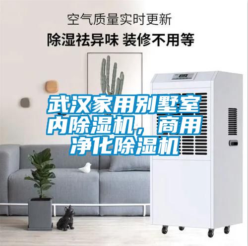 武漢家用別墅室內(nèi)除濕機(jī)，商用凈化除濕機(jī)