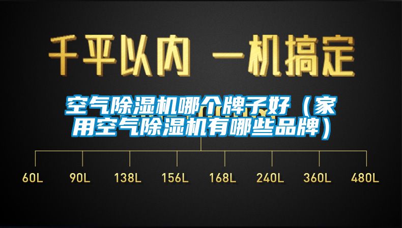 空氣除濕機(jī)哪個(gè)牌子好（家用空氣除濕機(jī)有哪些品牌）
