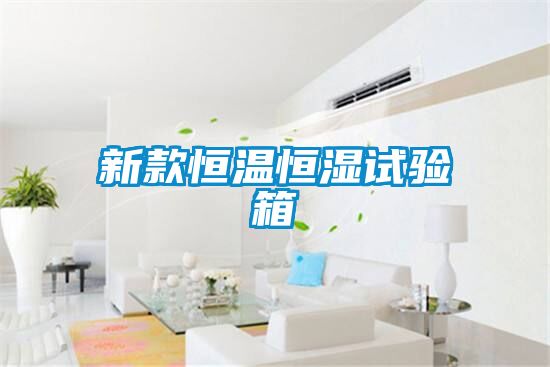 新款恒溫恒濕試驗箱