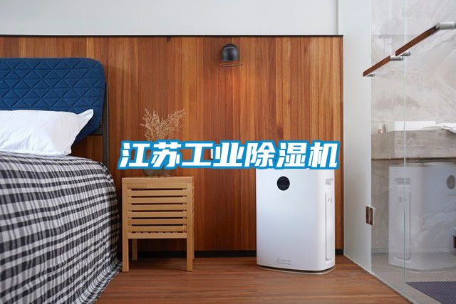 江蘇工業除濕機