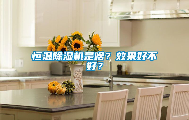 恒溫除濕機是啥？效果好不好？