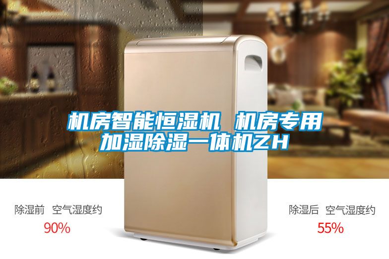 機房智能恒濕機 機房專用加濕除濕一體機ZH