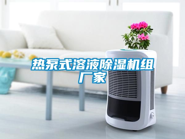 熱泵式溶液除濕機(jī)組廠家
