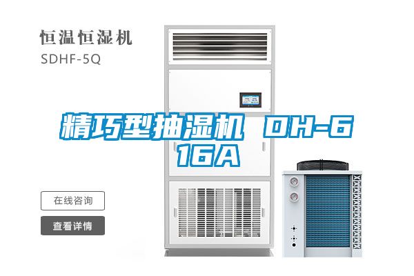 精巧型抽濕機(jī) DH-616A