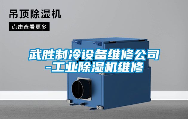 武勝制冷設備維修公司-工業除濕機維修