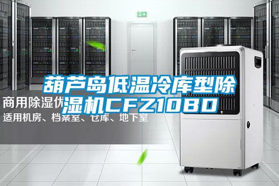 葫蘆島低溫冷庫(kù)型除濕機(jī)CFZ10BD