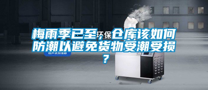 梅雨季已至，倉庫該如何防潮以避免貨物受潮受損？