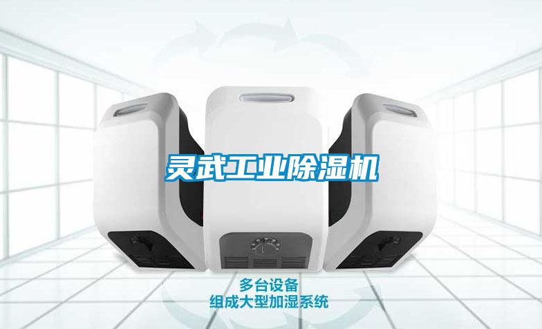 靈武工業除濕機