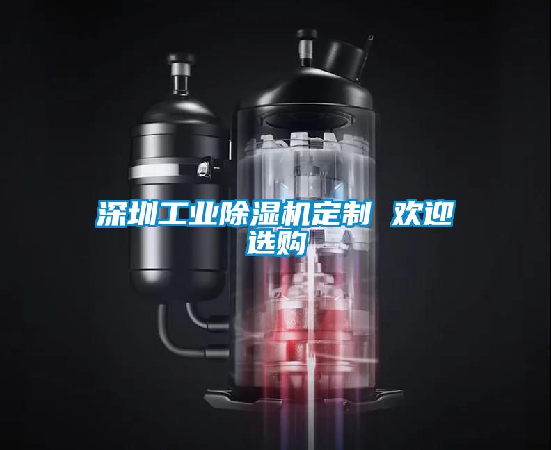 深圳工業除濕機定制 歡迎選購