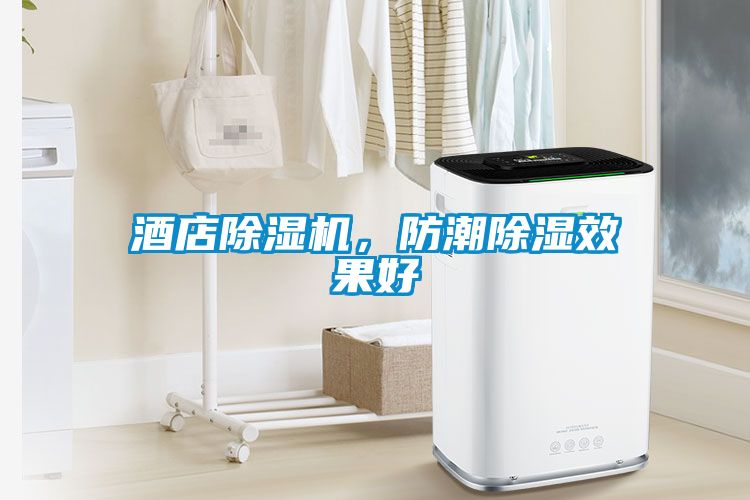 酒店除濕機，防潮除濕效果好