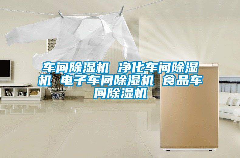 車間除濕機 凈化車間除濕機 電子車間除濕機 食品車間除濕機