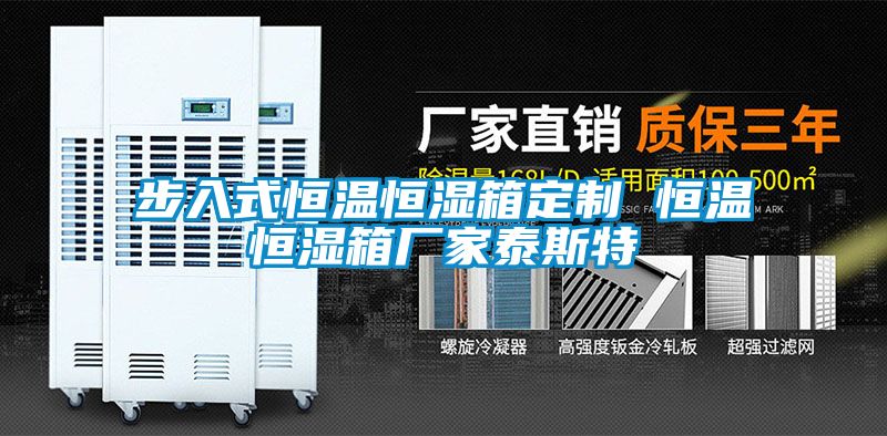 步入式恒溫恒濕箱定制 恒溫恒濕箱廠家泰斯特