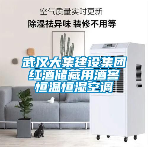 武漢大集建設(shè)集團(tuán)紅酒儲(chǔ)藏用酒窖恒溫恒濕空調(diào)