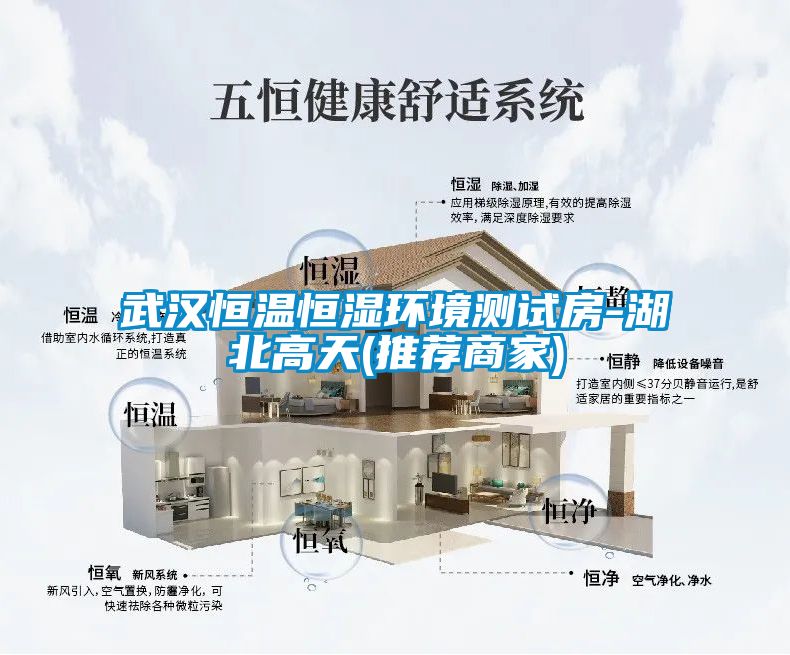 武漢恒溫恒濕環境測試房-湖北高天(推薦商家)
