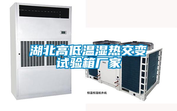 湖北高低溫濕熱交變試驗箱廠家