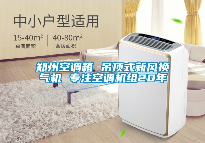 鄭州空調箱 吊頂式新風換氣機 專注空調機組20年