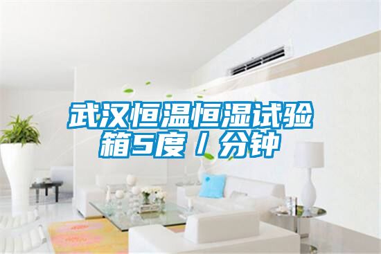 武漢恒溫恒濕試驗箱5度／分鐘