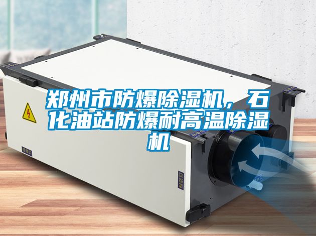 鄭州市防爆除濕機(jī)，石化油站防爆耐高溫除濕機(jī)