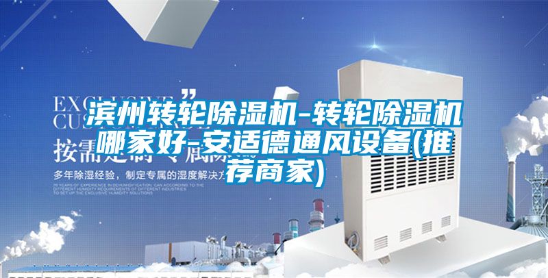 濱州轉(zhuǎn)輪除濕機(jī)-轉(zhuǎn)輪除濕機(jī)哪家好-安適德通風(fēng)設(shè)備(推薦商家)