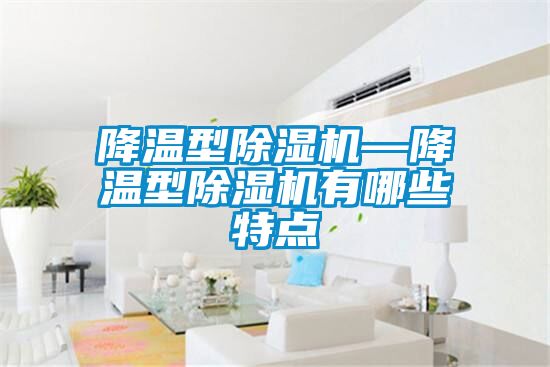 降溫型除濕機—降溫型除濕機有哪些特點