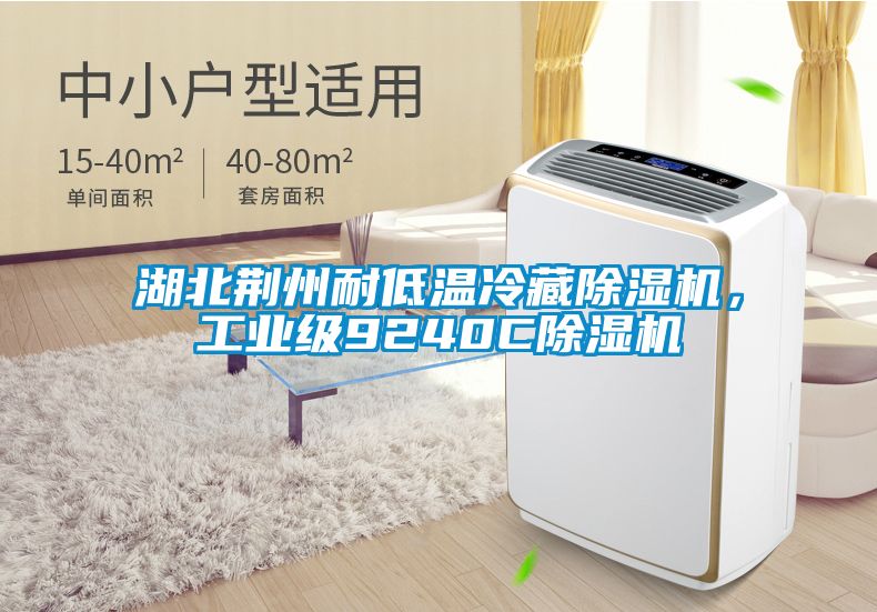 湖北荊州耐低溫冷藏除濕機，工業級9240C除濕機