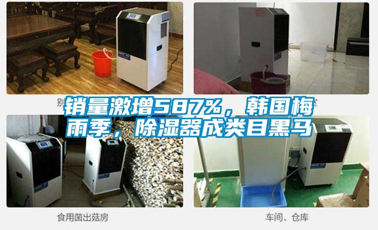 銷量激增587%，韓國梅雨季，除濕器成類目黑馬