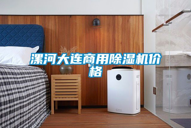 漯河大連商用除濕機價格