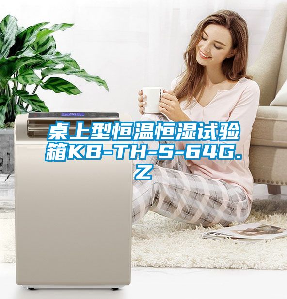 桌上型恒溫恒濕試驗箱KB-TH-S-64G.Z