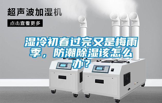 濕冷初春過完又是梅雨季，防潮除濕該怎么辦？