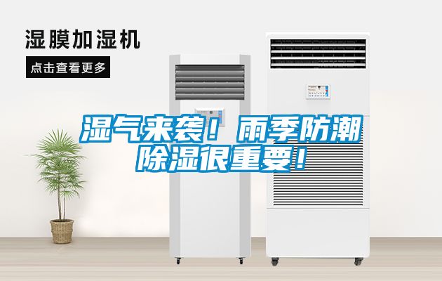 濕氣來襲！雨季防潮除濕很重要！