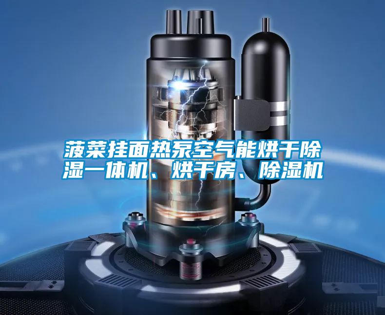 菠菜掛面熱泵空氣能烘干除濕一體機(jī)、烘干房、除濕機(jī)