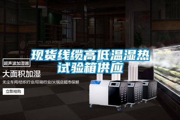 現貨線纜高低溫濕熱試驗箱供應