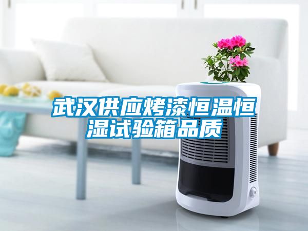 武漢供應烤漆恒溫恒濕試驗箱品質