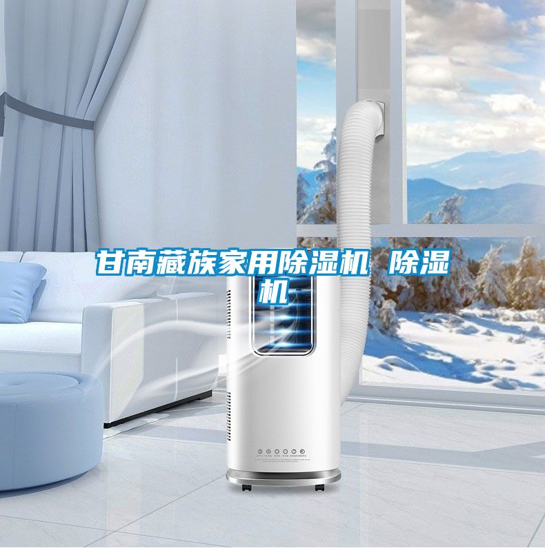 甘南藏族家用除濕機 除濕機