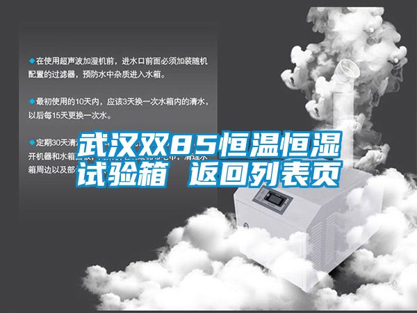 武漢雙85恒溫恒濕試驗箱 返回列表頁