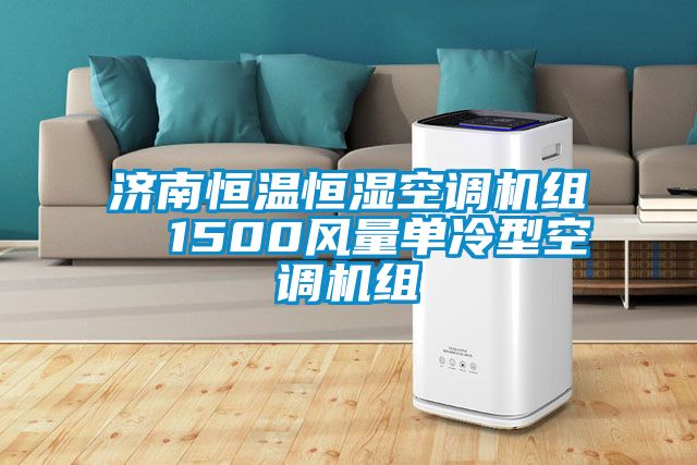 濟(jì)南恒溫恒濕空調(diào)機(jī)組  1500風(fēng)量單冷型空調(diào)機(jī)組