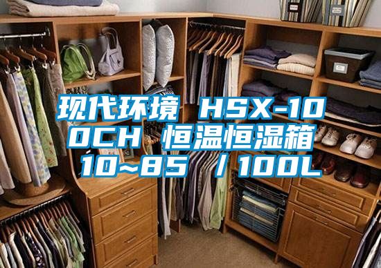 現(xiàn)代環(huán)境 HSX-100CH 恒溫恒濕箱 10~85℃／100L