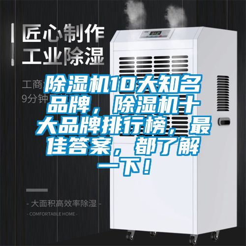 除濕機10大知名品牌，除濕機十大品牌排行榜，最佳答案，都了解一下！