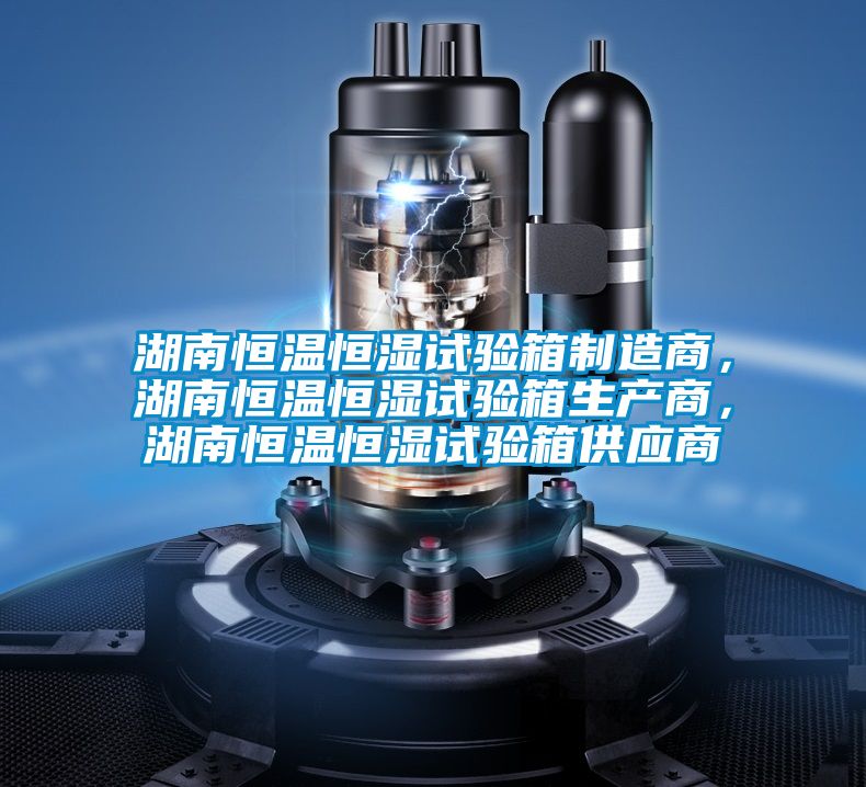 湖南恒溫恒濕試驗箱制造商，湖南恒溫恒濕試驗箱生產商，湖南恒溫恒濕試驗箱供應商