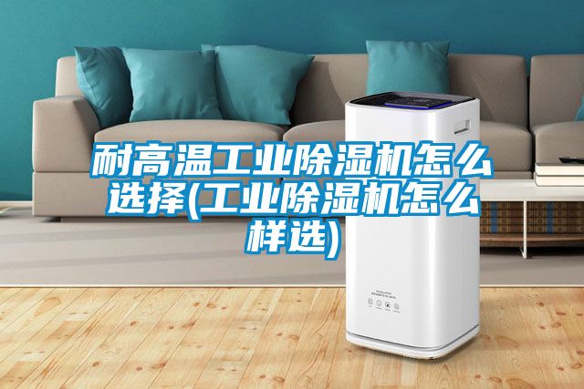 耐高溫工業(yè)除濕機(jī)怎么選擇(工業(yè)除濕機(jī)怎么樣選)