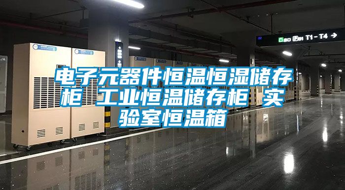 電子元器件恒溫恒濕儲存柜 工業(yè)恒溫儲存柜 實(shí)驗(yàn)室恒溫箱