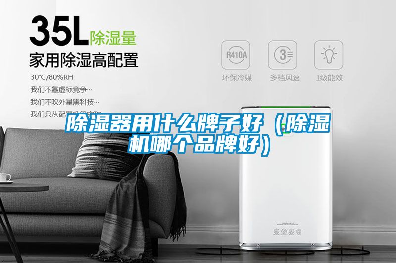 除濕器用什么牌子好（除濕機哪個品牌好）