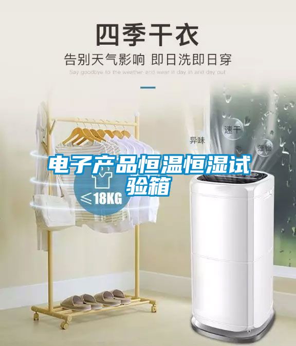 電子產品恒溫恒濕試驗箱
