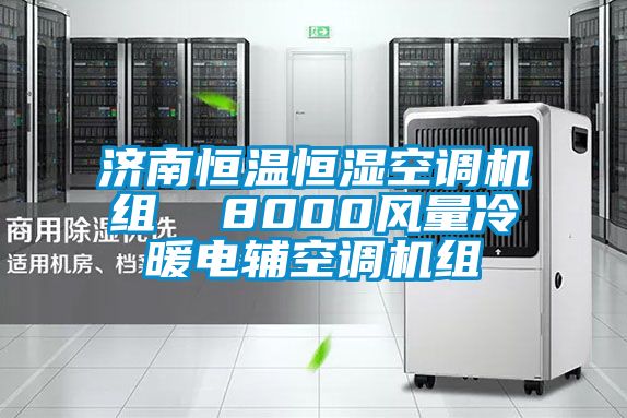 濟南恒溫恒濕空調機組  8000風量冷暖電輔空調機組