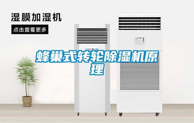 蜂巢式轉輪除濕機原理