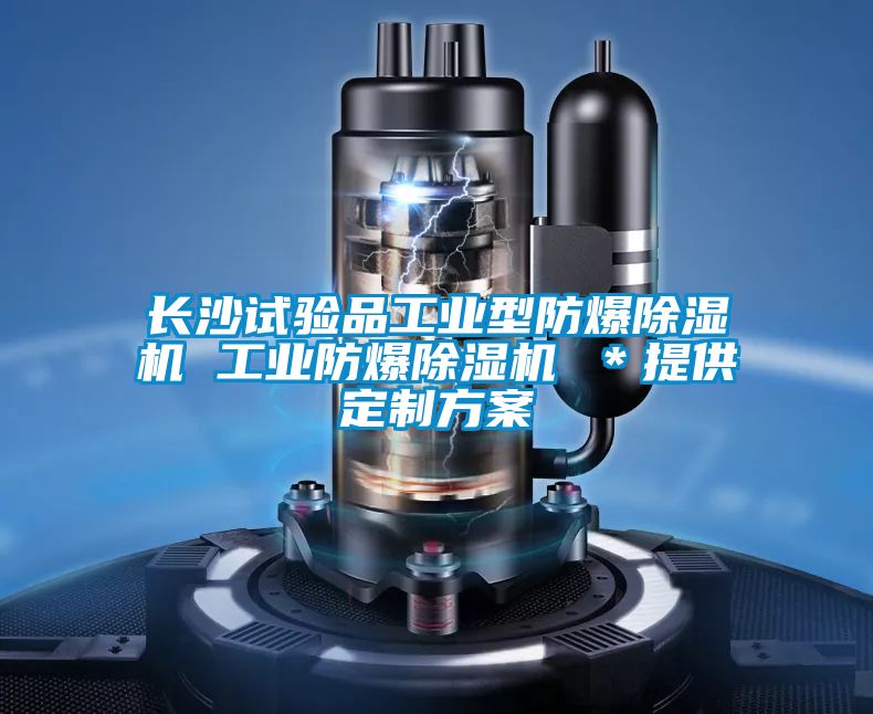 長沙試驗品工業(yè)型防爆除濕機 工業(yè)防爆除濕機 ＊提供定制方案