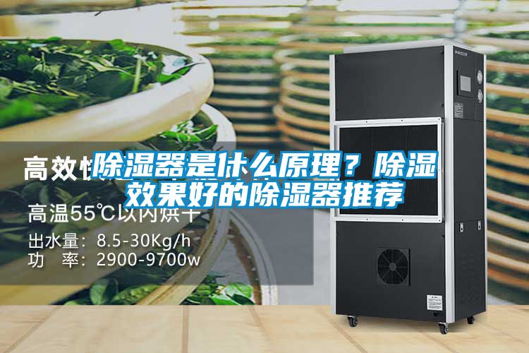 除濕器是什么原理？除濕效果好的除濕器推薦